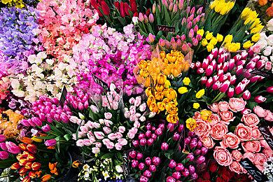 Aniplex视觉小说《亚托莉：我挚爱的时光》将改编动画